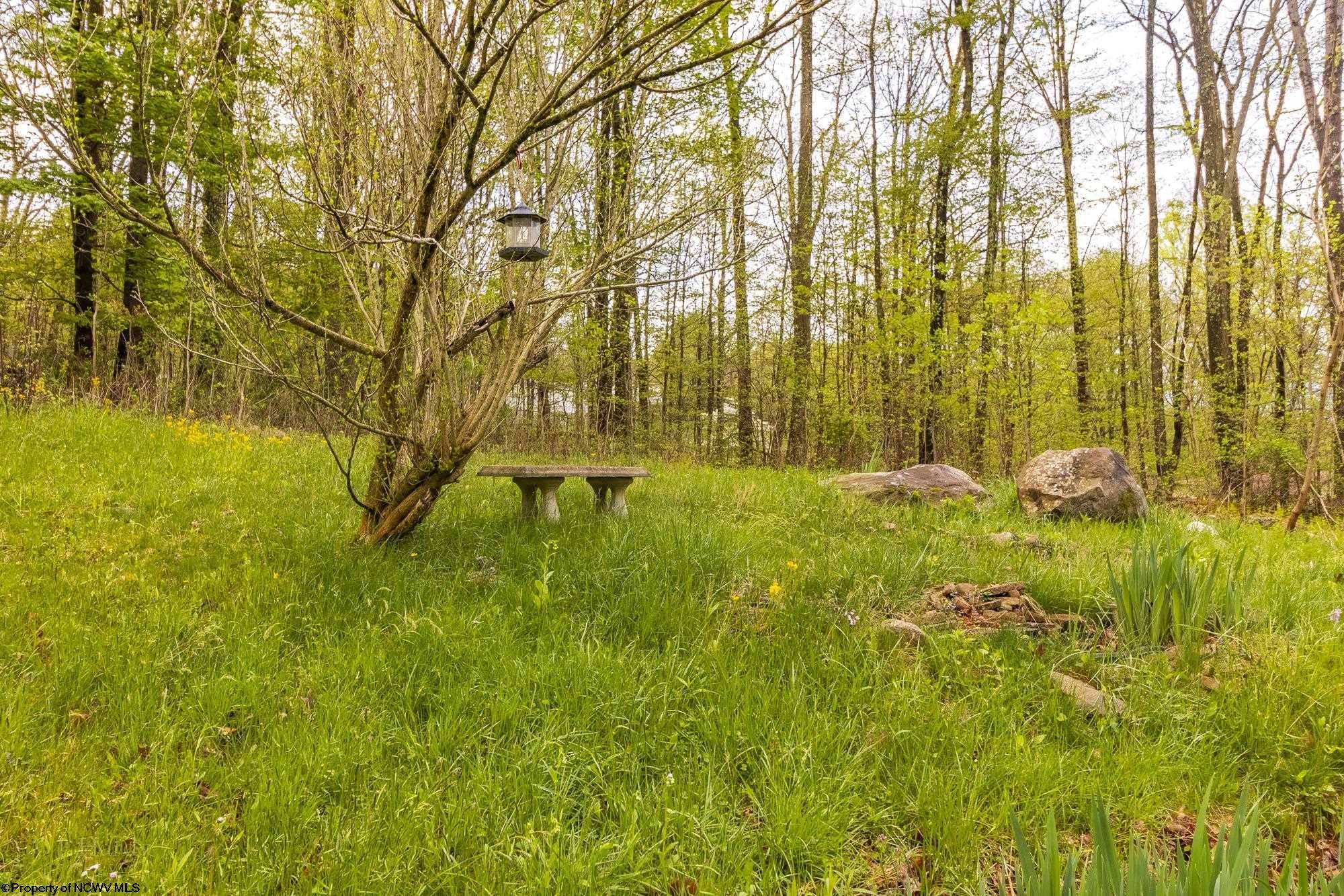 1114 Grafton Road Morgantown, WV 26508 - Photo 21 of 23 Gallery Image 21