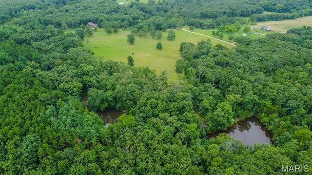 $575,000 | 13151 County Road 2220, Rolla, MO 65401