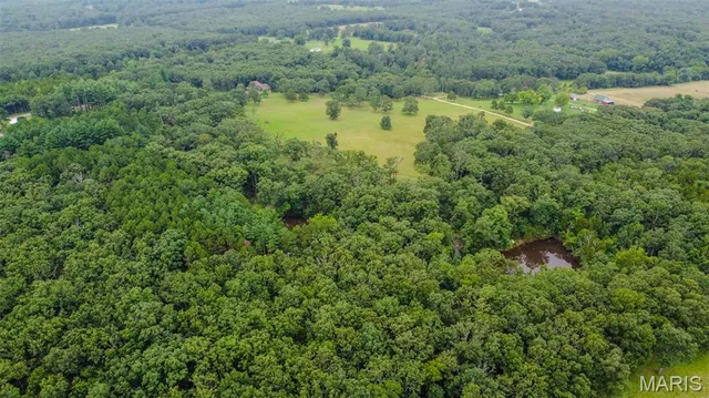 $575,000 | 13151 County Road 2220, Rolla, MO 65401