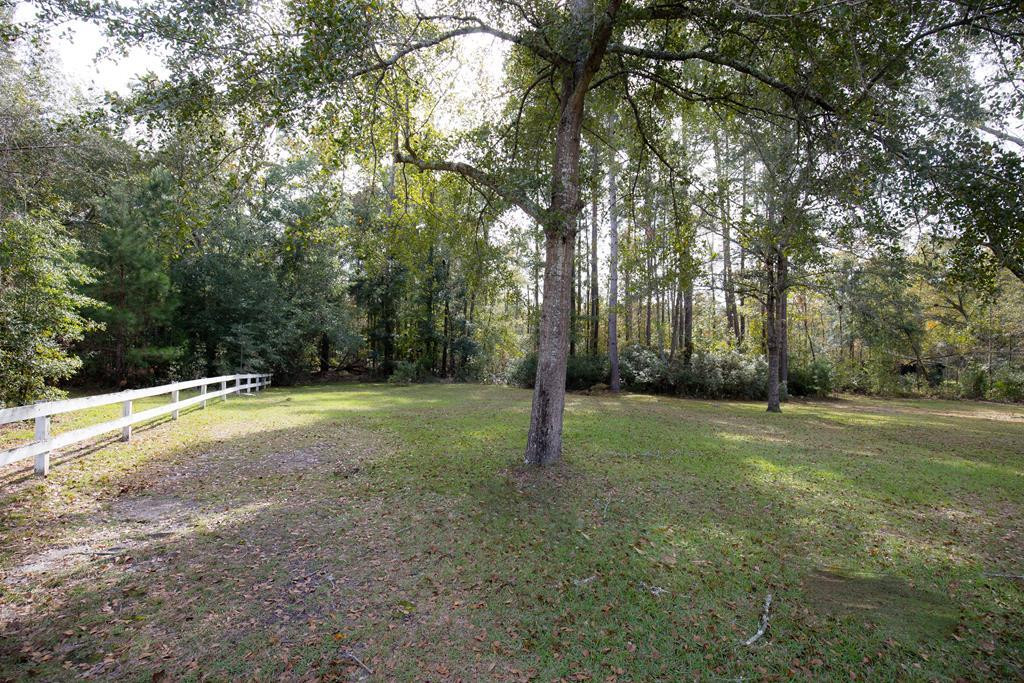 499 Pine Street Bamberg, SC 29003 - Photo 25 of 28 a view of a field with trees in the background