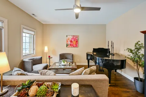 a living room with furniture and a potted plant