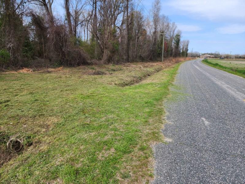 0 Andrew Mills Road Lamar, SC 29069 - Photo 2 of 7 image000001 (2)