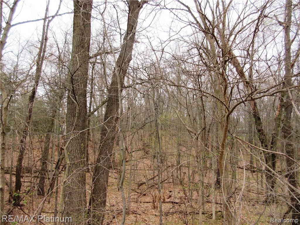 4 Welle Road Brighton, MI 48116 - Photo 7 of 8