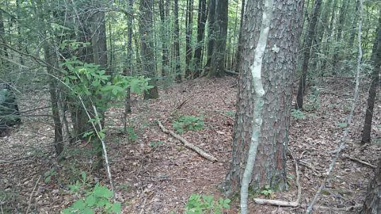 2134 Mt Pleasant Road Vonore, TN 37885 - Photo 1 of 3 2015-08-18 09.27.47