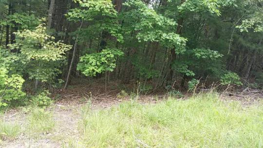 2134 Mt Pleasant Road Vonore, TN 37885 - Photo 2 of 3 2015-08-18 09.28.02