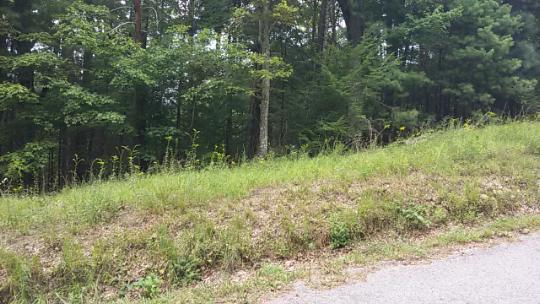 2134 Mt Pleasant Road Vonore, TN 37885 - Photo 3 of 3 20150815_161422