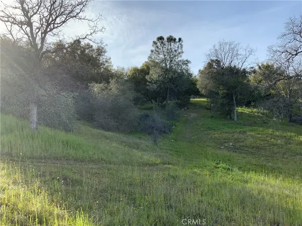 a view of a lush green space