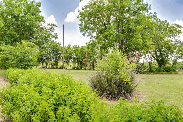 a view of yard with green space