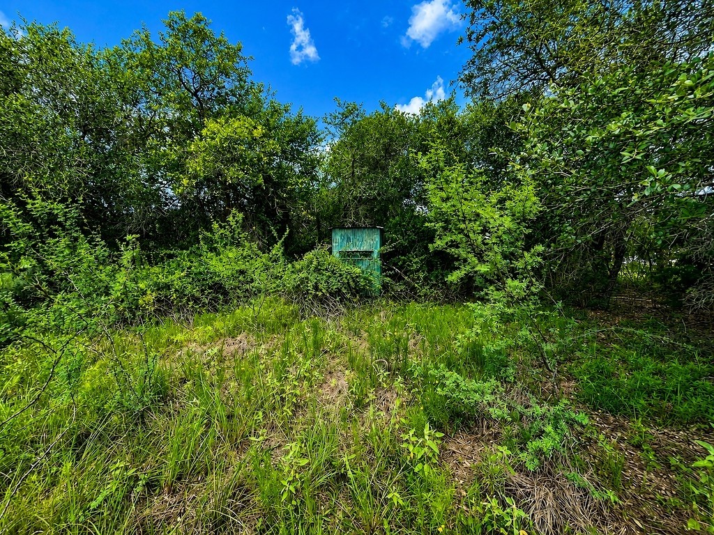 Tbd Water Oak Road Columbus, TX 78934 - Photo 3 of 14