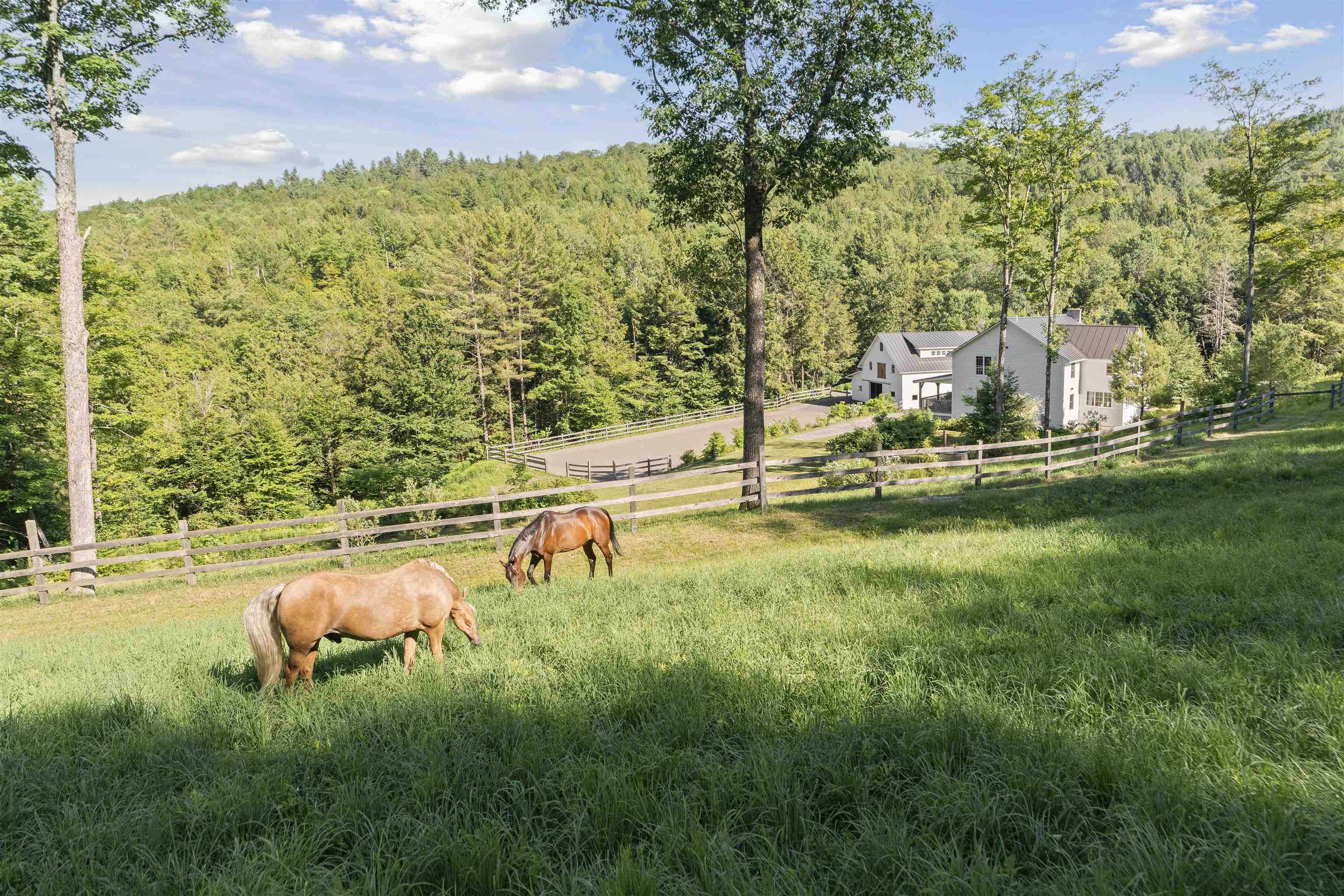 766 Masterson Road Barnard, VT 05032 - Photo 32 of 34