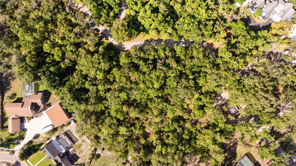 4710 Rambling River Road Brandon, FL 33511 - Photo 3 of 5