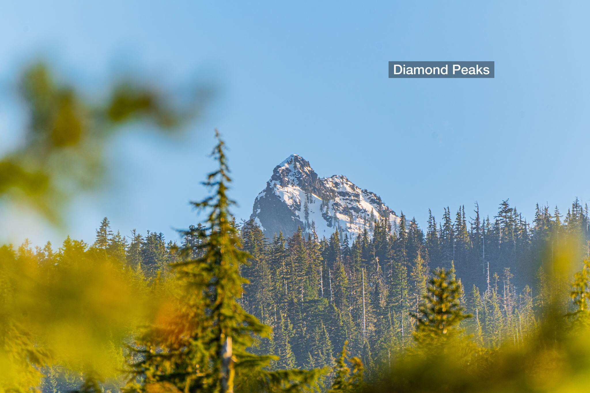 Royce Pine Rd Crescent Lake Crescent Lake, OR 97733 - Photo 13 of 23 13-OYCE MOUNTIAN ROAD - 10
