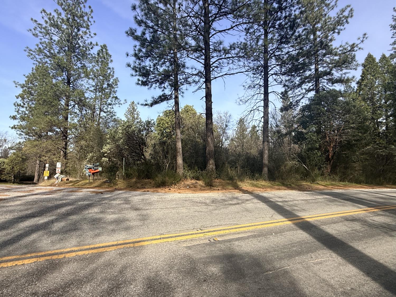 10986 Tyler Foote Crossing Road Nevada City, CA 95959 - Photo 5 of 10 a view of yard with trees