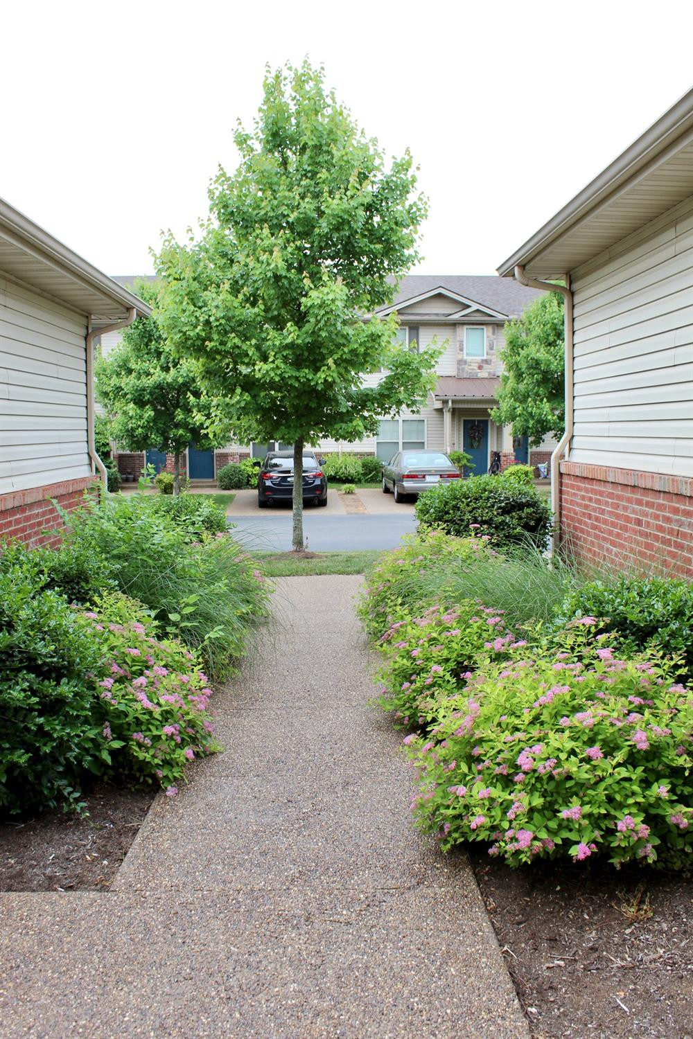 239 Regency Point Path Lexington, KY 40503 - Photo 2 of 41 Photo 2