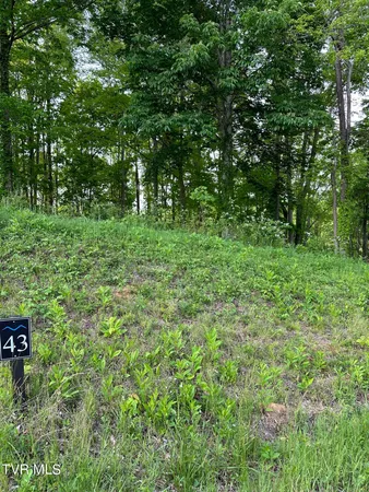 $134,500 | 0 Lot Road, Unit 43, Butler, TN 37640