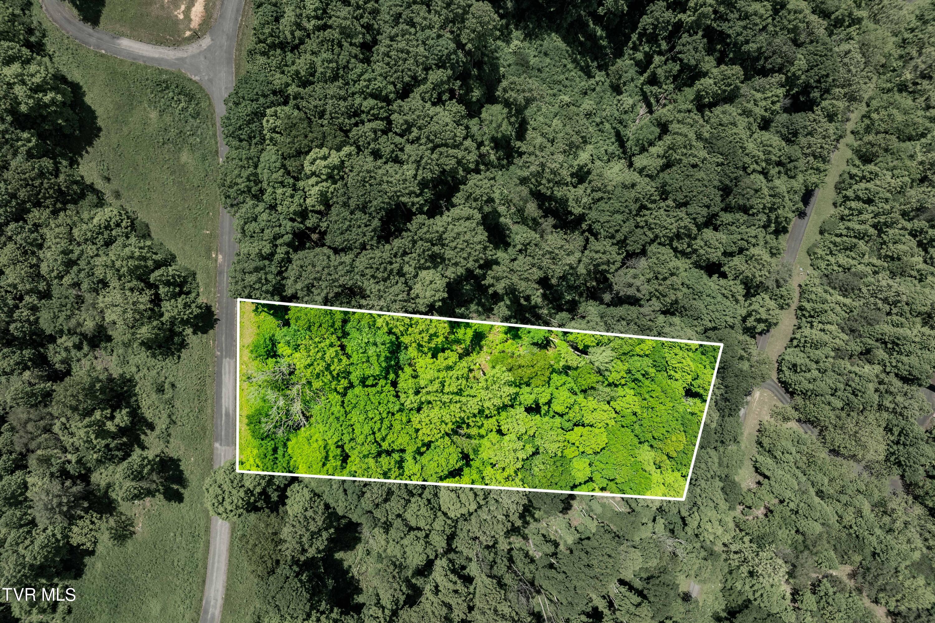 0 Lot Road, Unit 43 Butler, TN 37640 - Photo 11 of 69 TBD Lot 43 Watauga Ridge Rd (1 of 69)