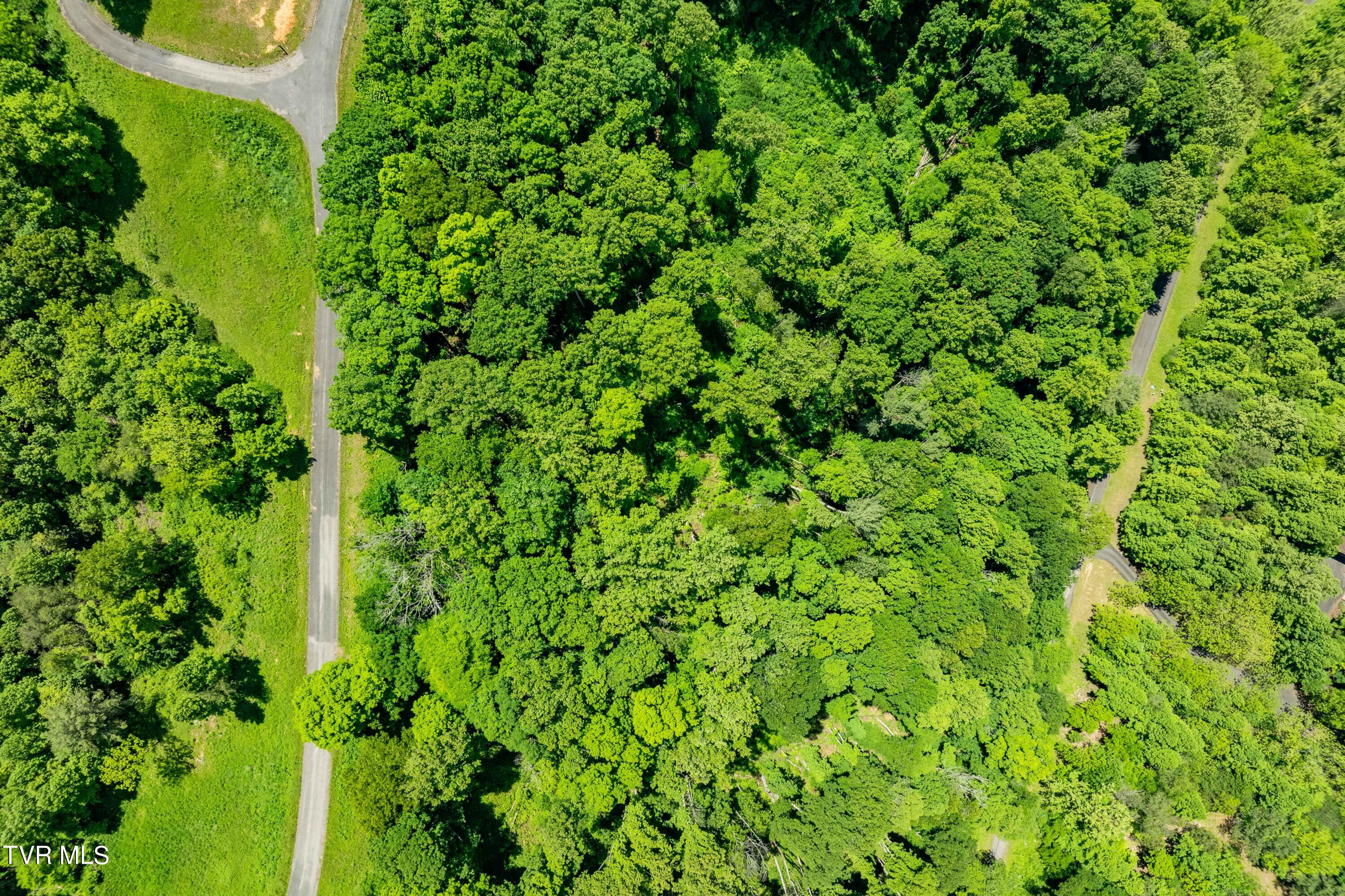 0 Lot Road, Unit 43 Butler, TN 37640 - Photo 12 of 69 TBD Lot 43 Watauga Ridge Rd (2 of 69)