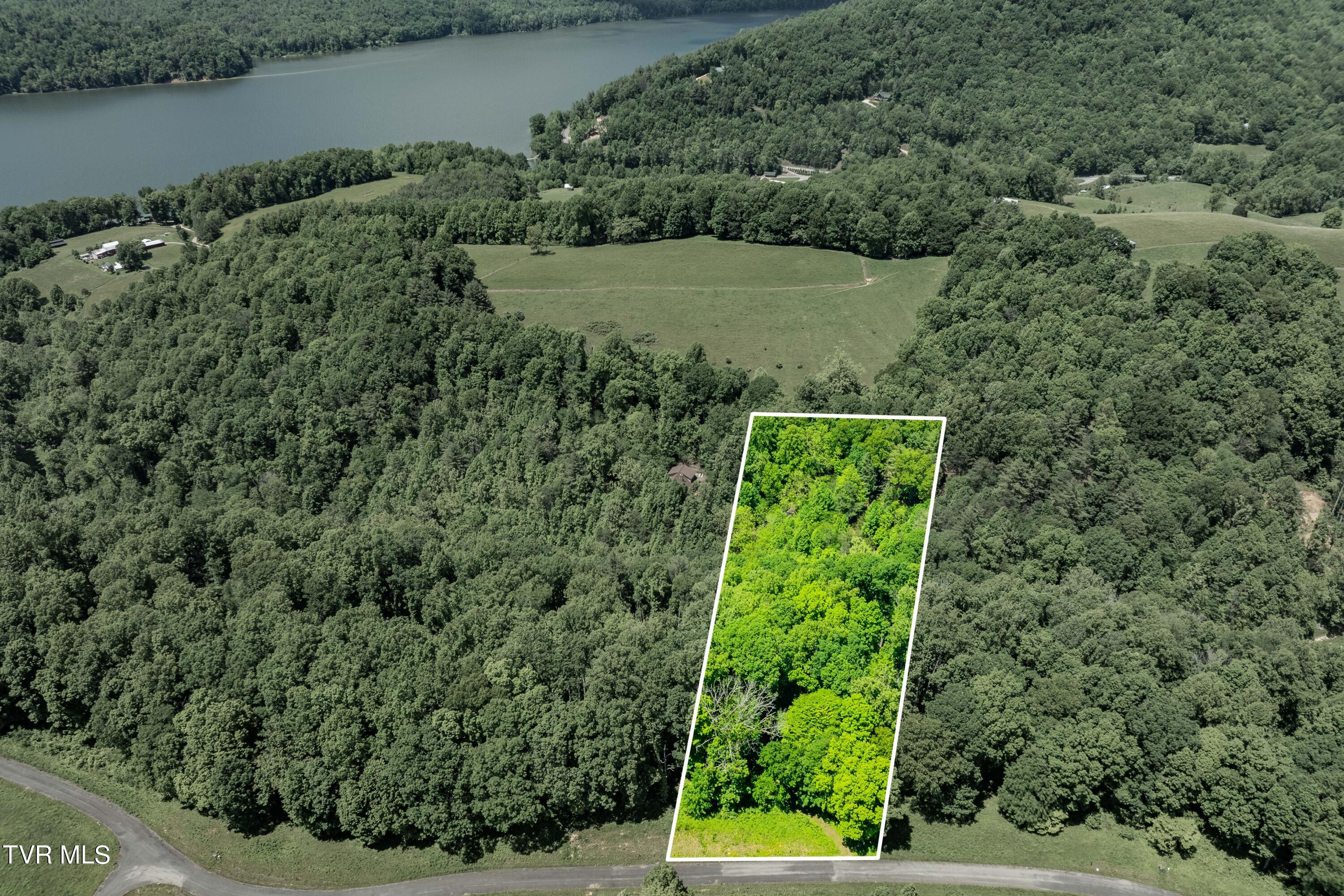 0 Lot Road, Unit 43 Butler, TN 37640 - Photo 13 of 69 TBD Lot 43 Watauga Ridge Rd (3 of 69)