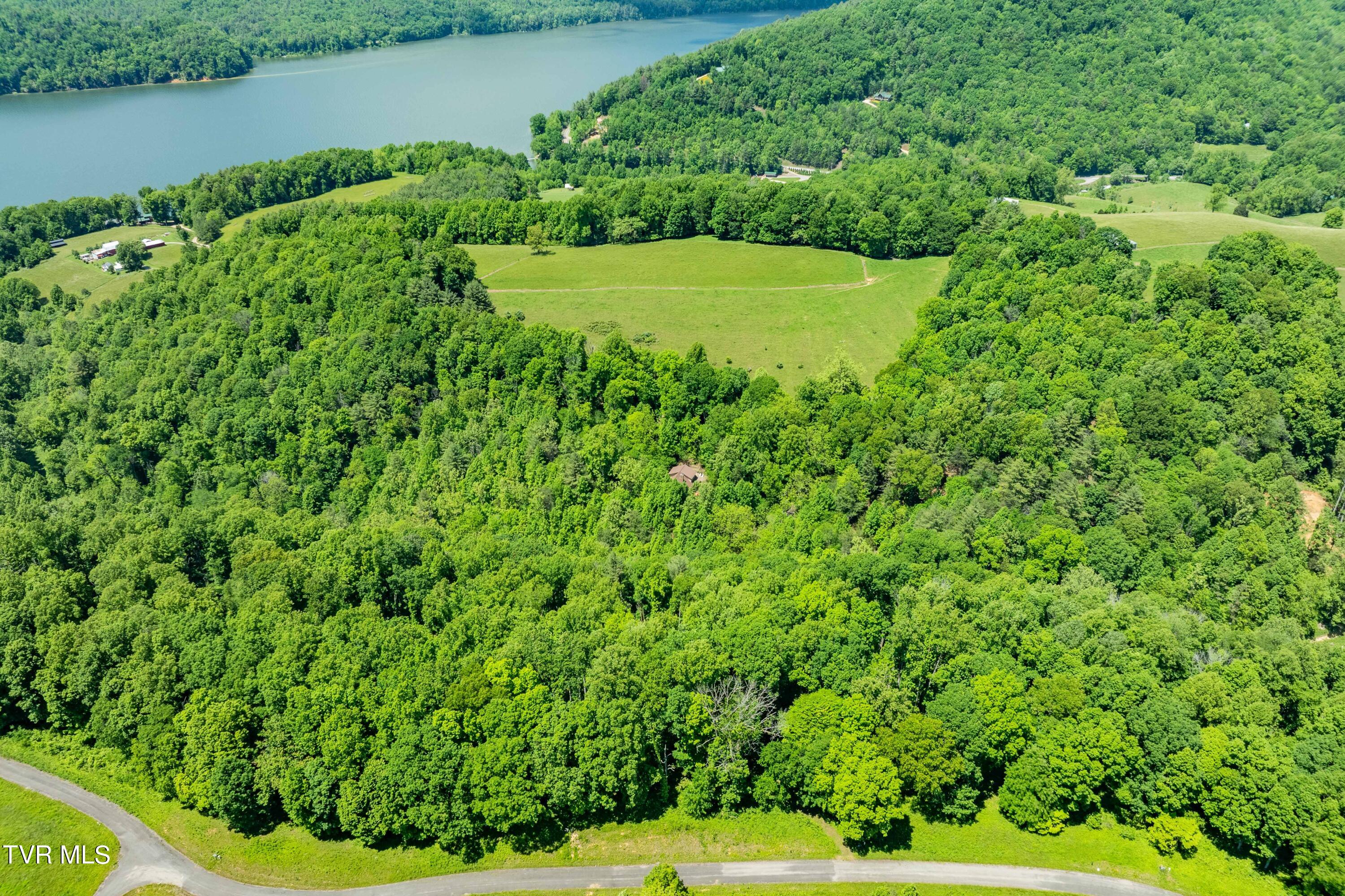 0 Lot Road, Unit 43 Butler, TN 37640 - Photo 14 of 69 TBD Lot 43 Watauga Ridge Rd (4 of 69)