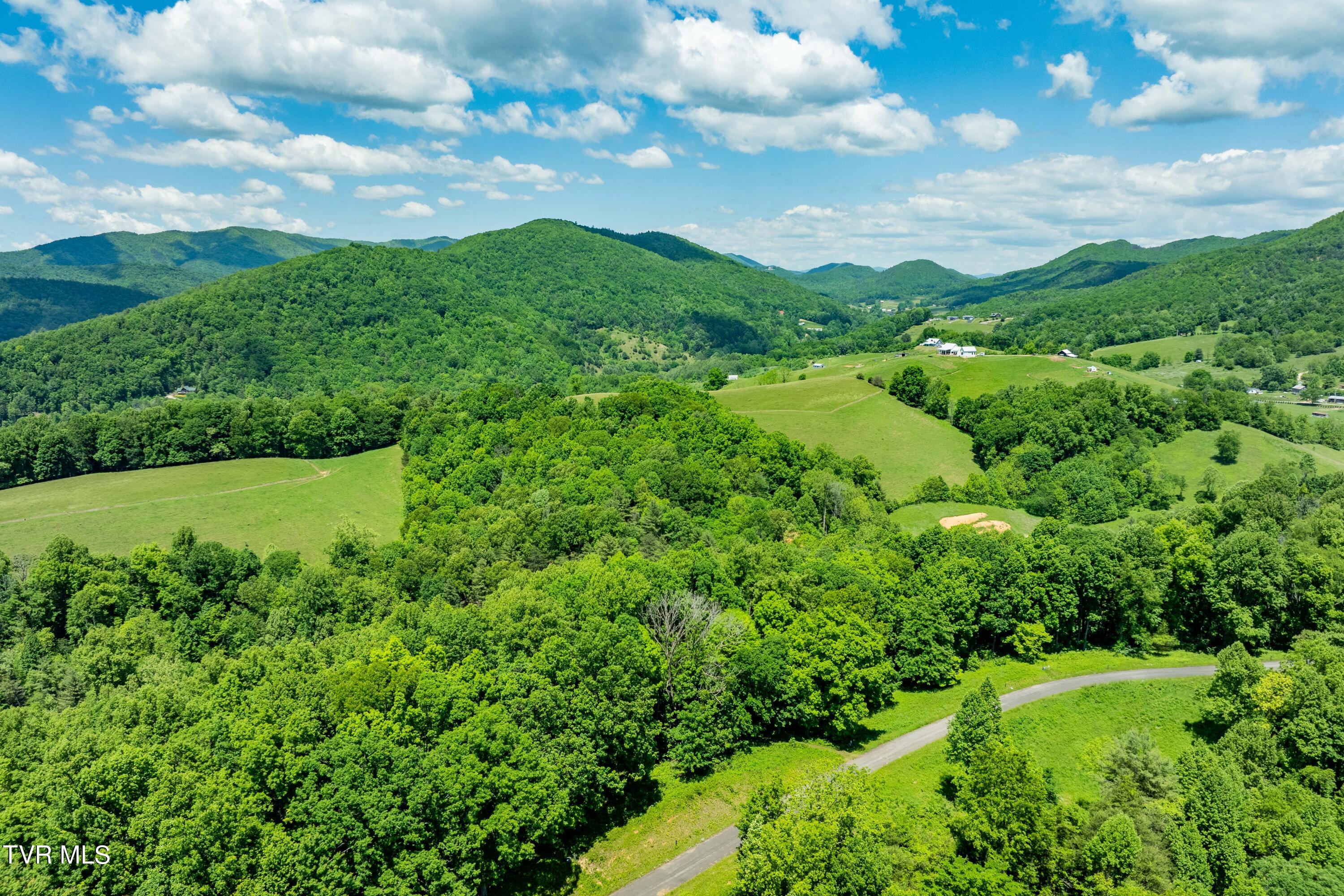 0 Lot Road, Unit 43 Butler, TN 37640 - Photo 18 of 69 TBD Lot 43 Watauga Ridge Rd (17 of 69)