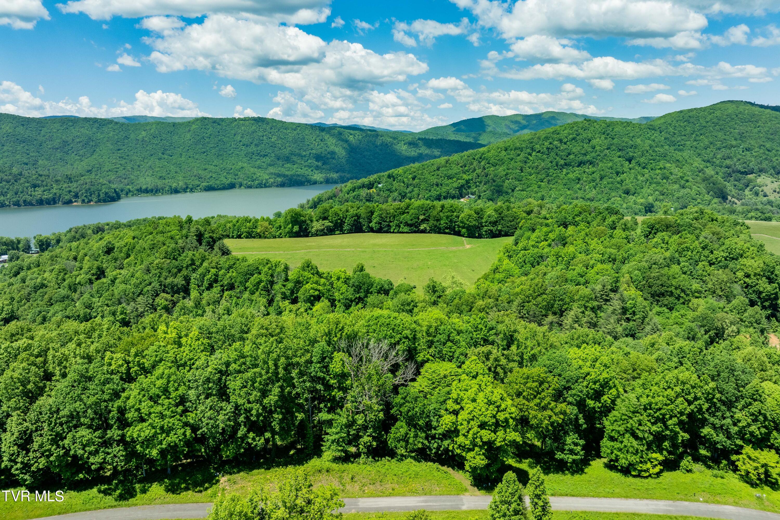 0 Lot Road, Unit 43 Butler, TN 37640 - Photo 19 of 69 TBD Lot 43 Watauga Ridge Rd (18 of 69)