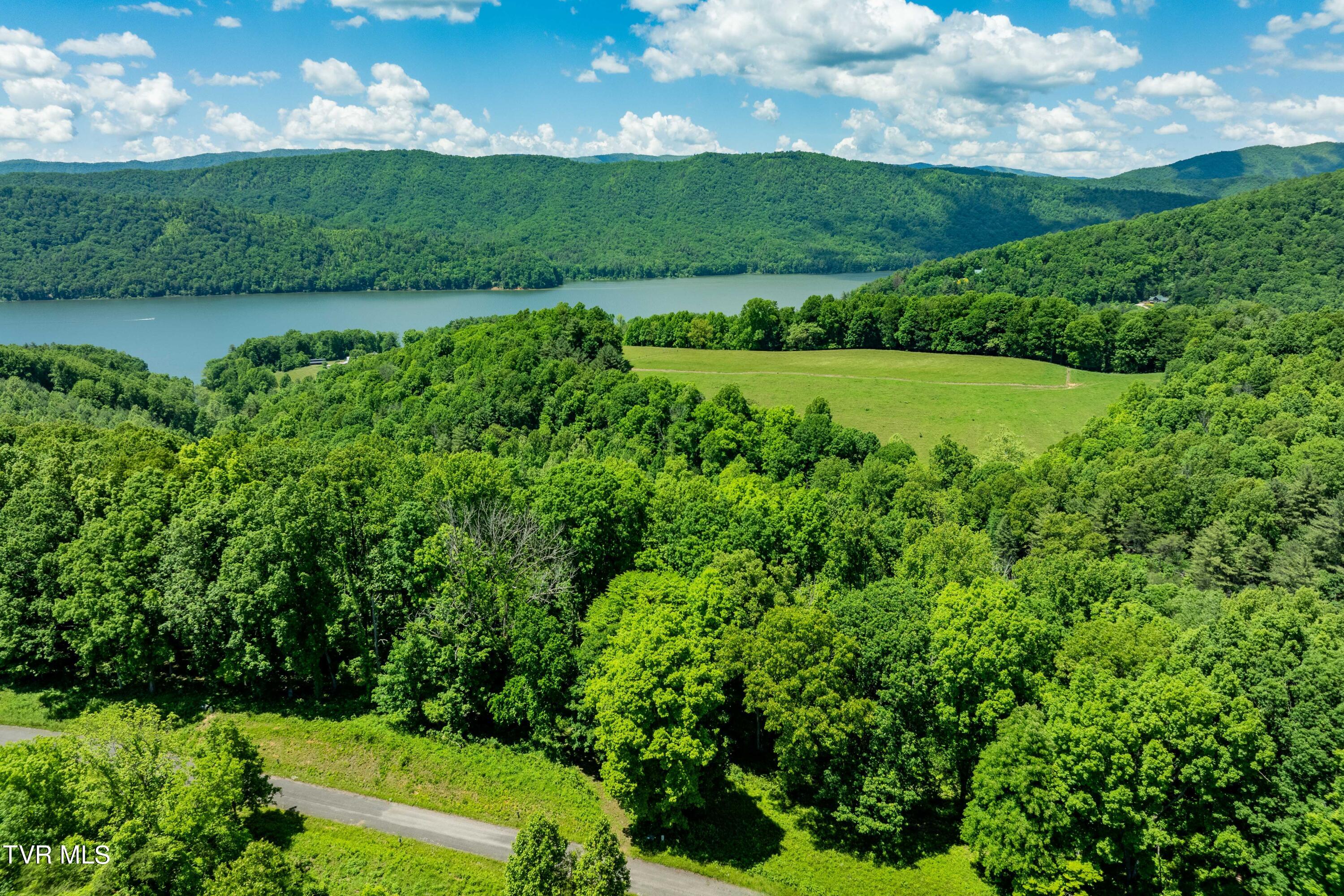 0 Lot Road, Unit 43 Butler, TN 37640 - Photo 20 of 69 TBD Lot 43 Watauga Ridge Rd (19 of 69)