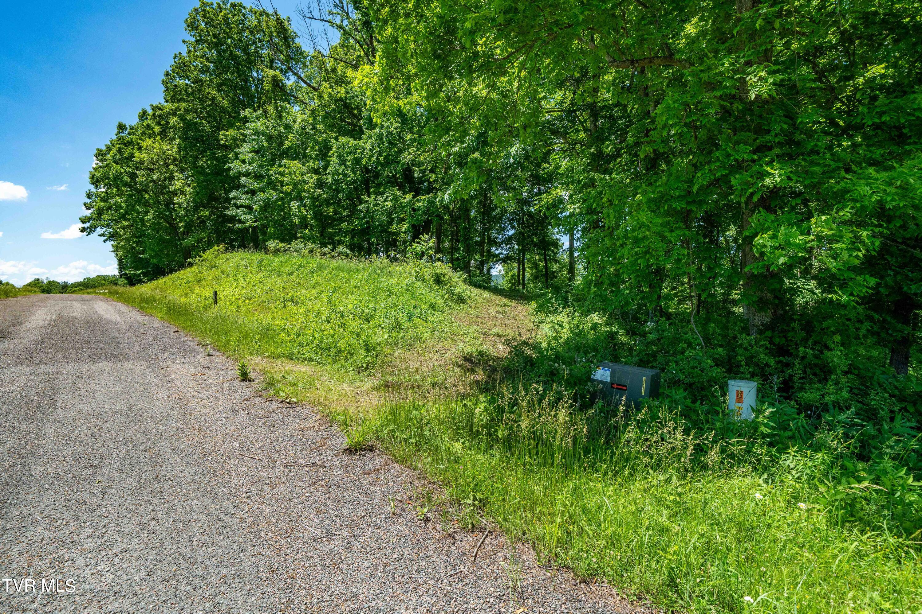 0 Lot Road, Unit 43 Butler, TN 37640 - Photo 2 of 69 TBD Lot 43 Watauga Ridge Rd (23 of 69)