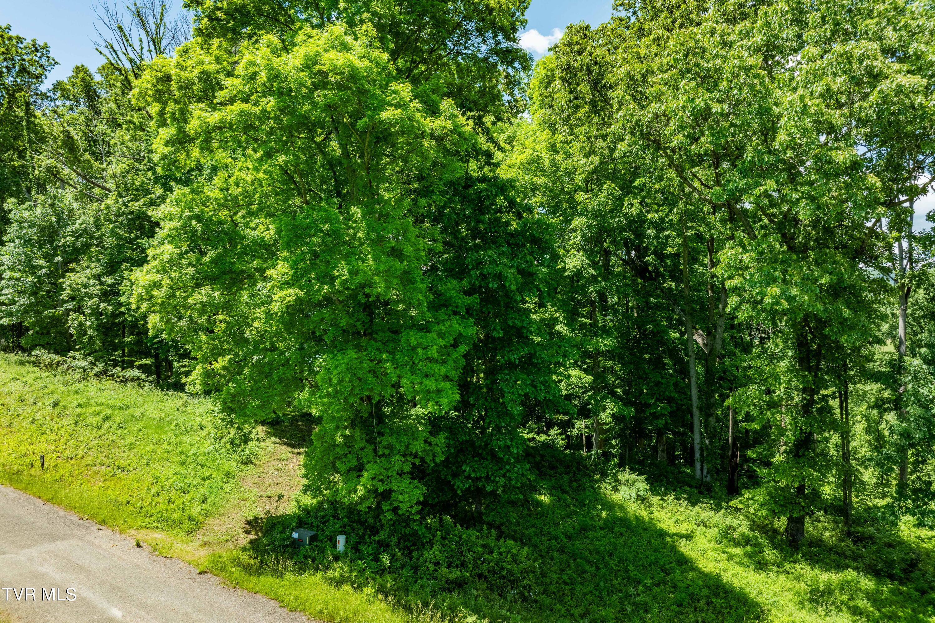 0 Lot Road, Unit 43 Butler, TN 37640 - Photo 21 of 69 TBD Lot 43 Watauga Ridge Rd (20 of 69)