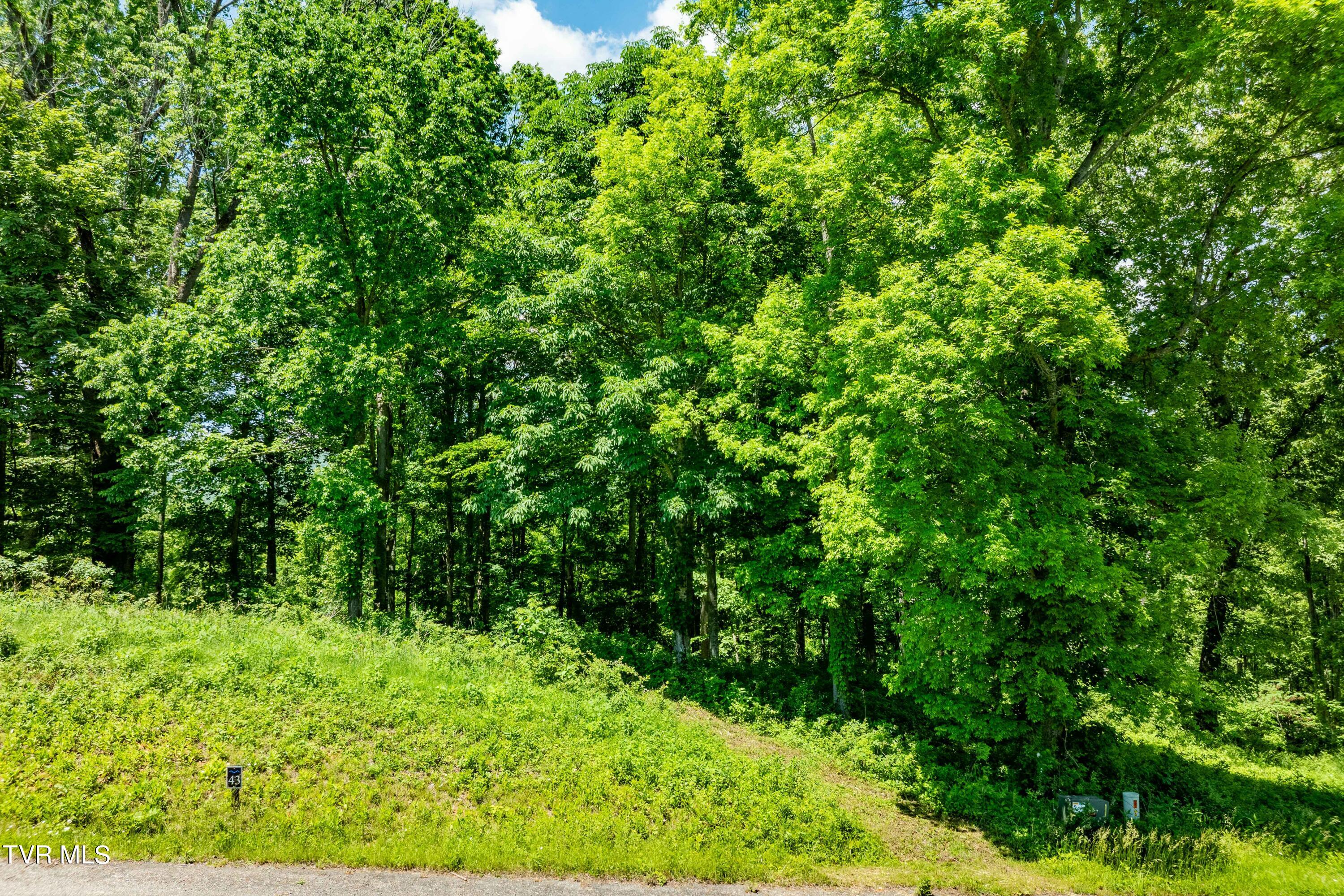 0 Lot Road, Unit 43 Butler, TN 37640 - Photo 22 of 69 TBD Lot 43 Watauga Ridge Rd (21 of 69)