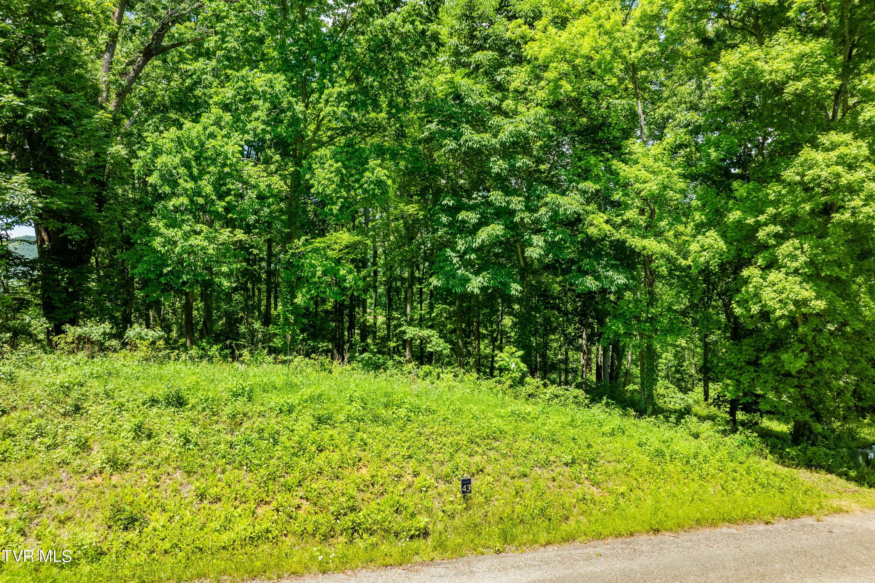 0 Lot Road, Unit 43 Butler, TN 37640 - Photo 23 of 69 TBD Lot 43 Watauga Ridge Rd (22 of 69)