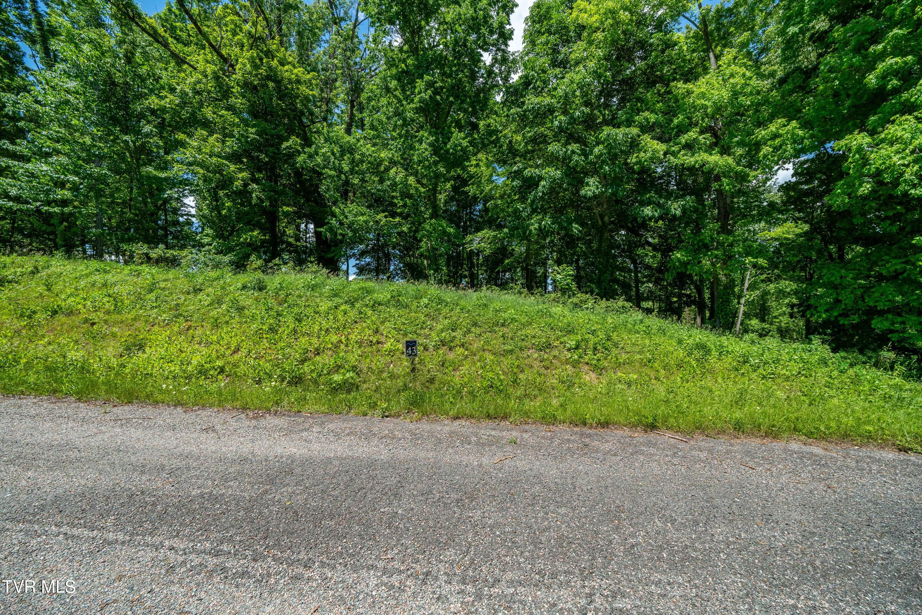 0 Lot Road, Unit 43 Butler, TN 37640 - Photo 24 of 69 TBD Lot 43 Watauga Ridge Rd (24 of 69)