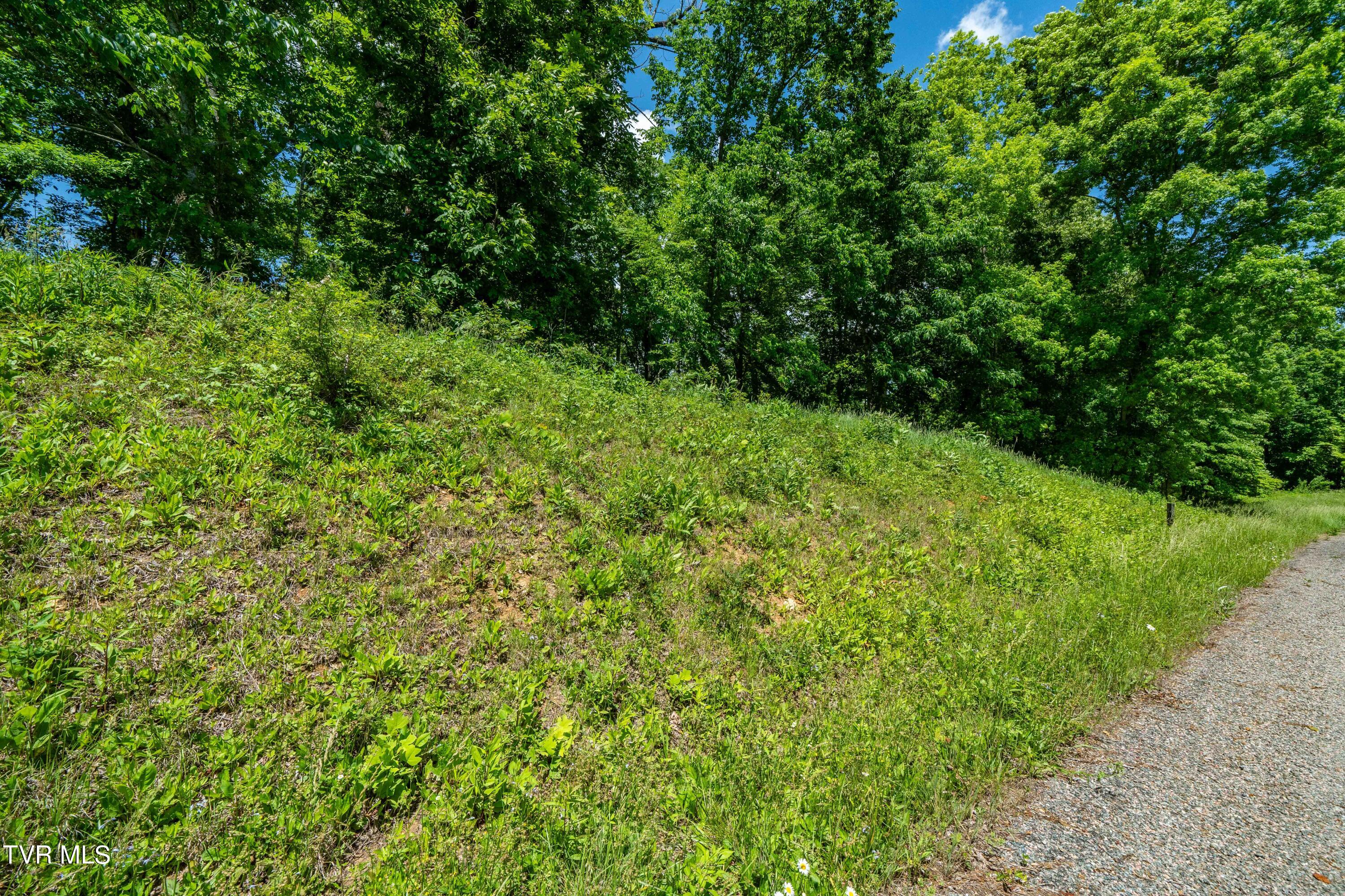 0 Lot Road, Unit 43 Butler, TN 37640 - Photo 25 of 69 TBD Lot 43 Watauga Ridge Rd (25 of 69)