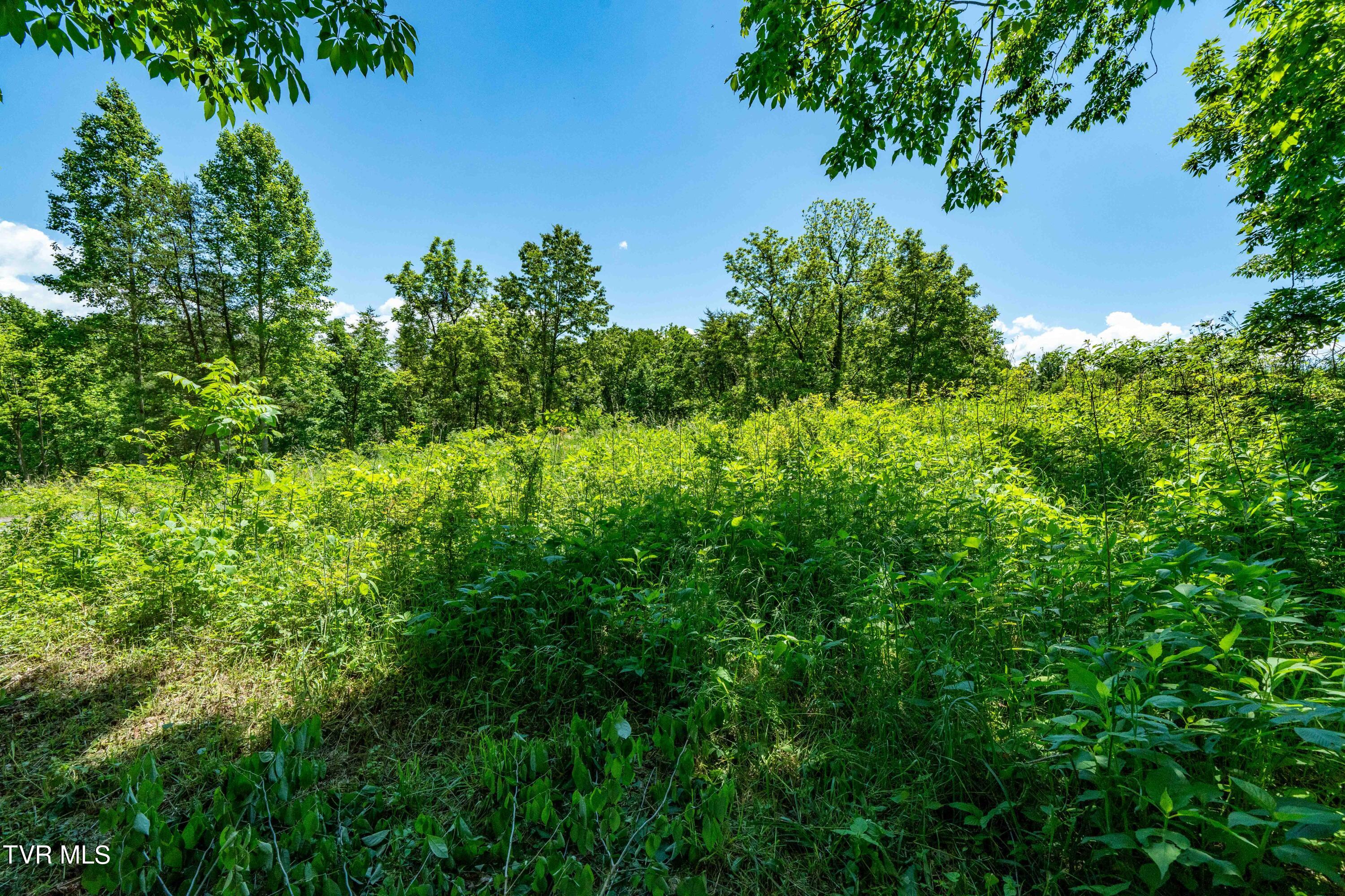 0 Lot Road, Unit 43 Butler, TN 37640 - Photo 27 of 69 TBD Lot 43 Watauga Ridge Rd (27 of 69)