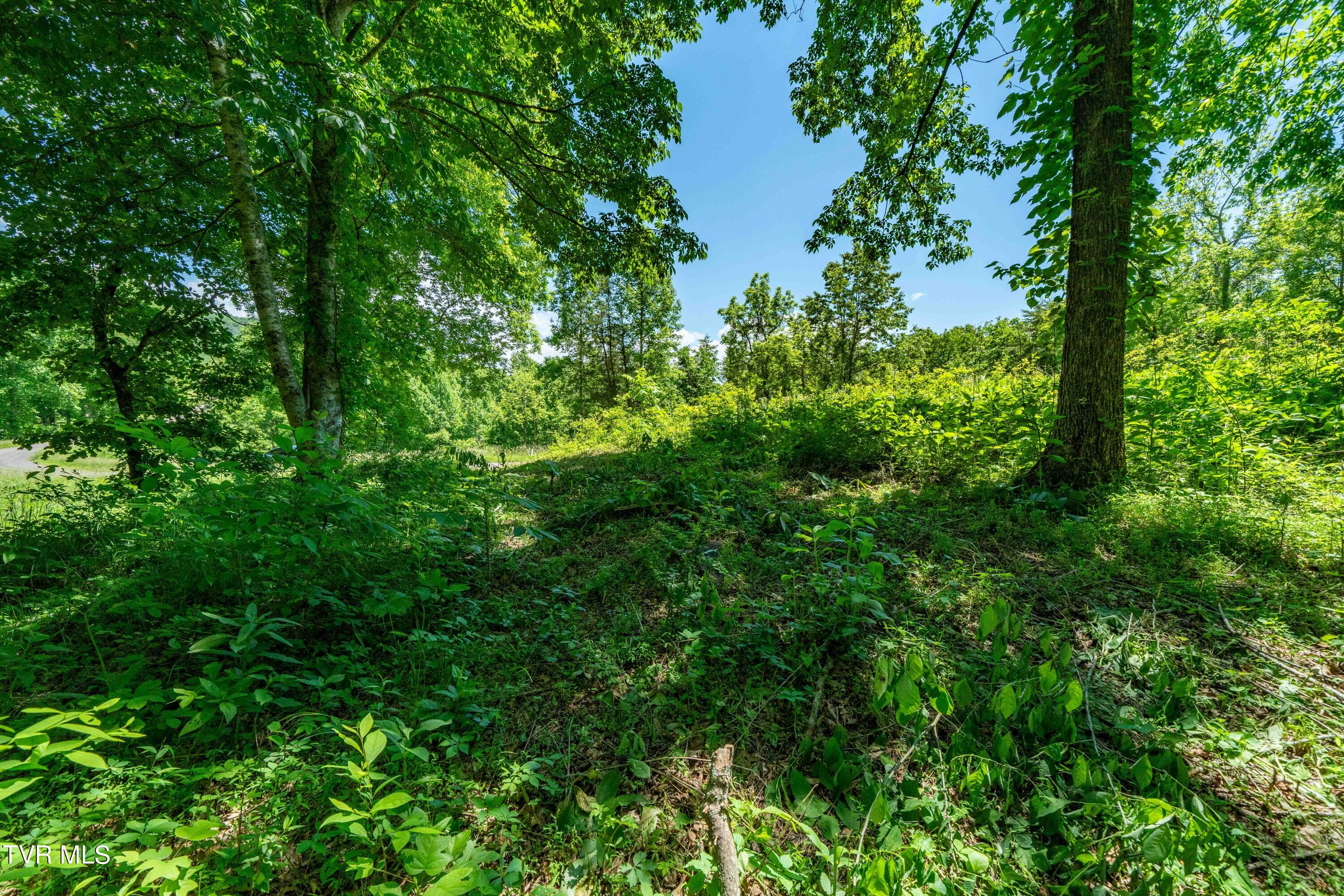 0 Lot Road, Unit 43 Butler, TN 37640 - Photo 30 of 69 TBD Lot 43 Watauga Ridge Rd (30 of 69)