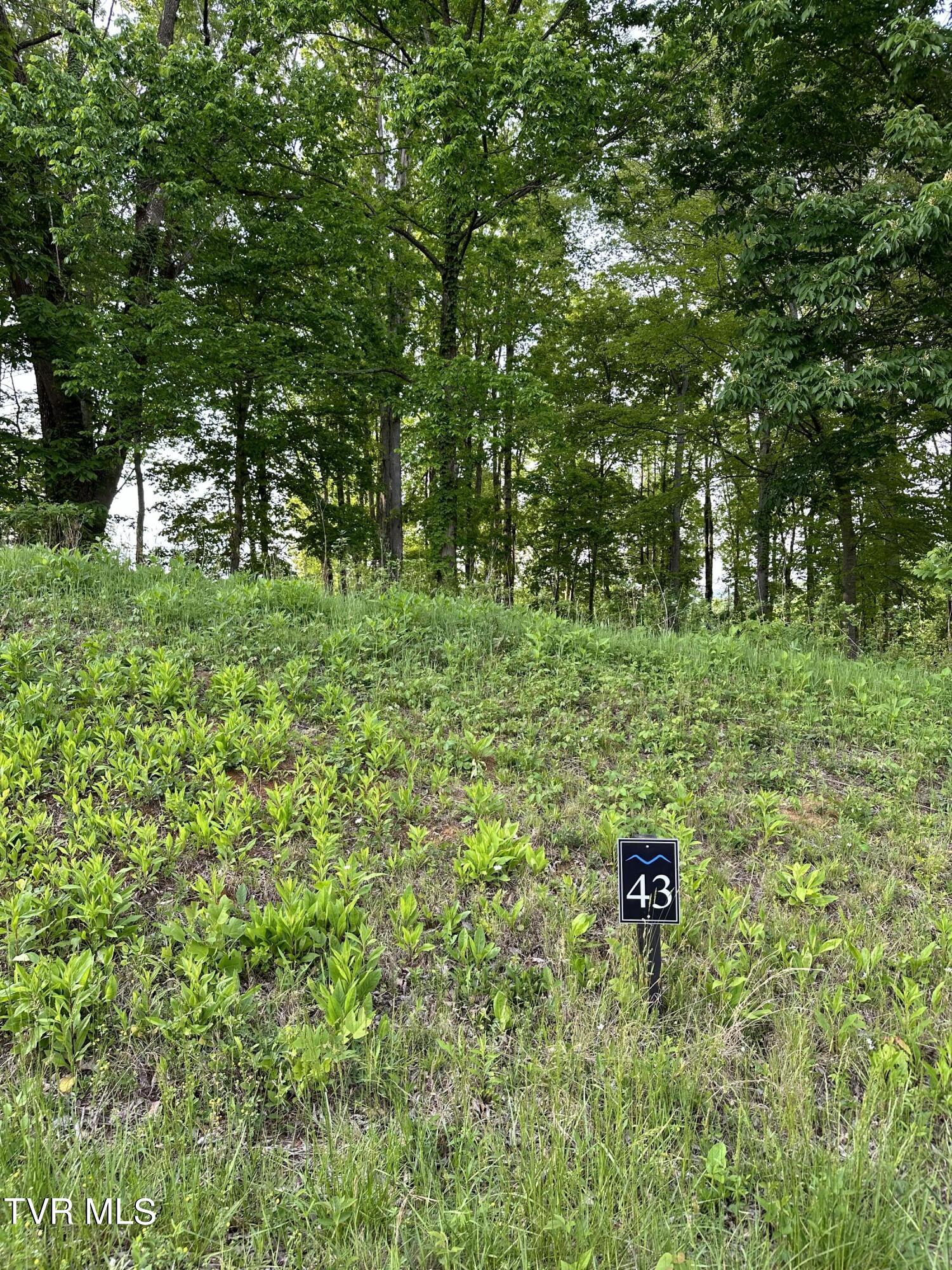 0 Lot Road, Unit 43 Butler, TN 37640 - Photo 3 of 69 IMG_1267