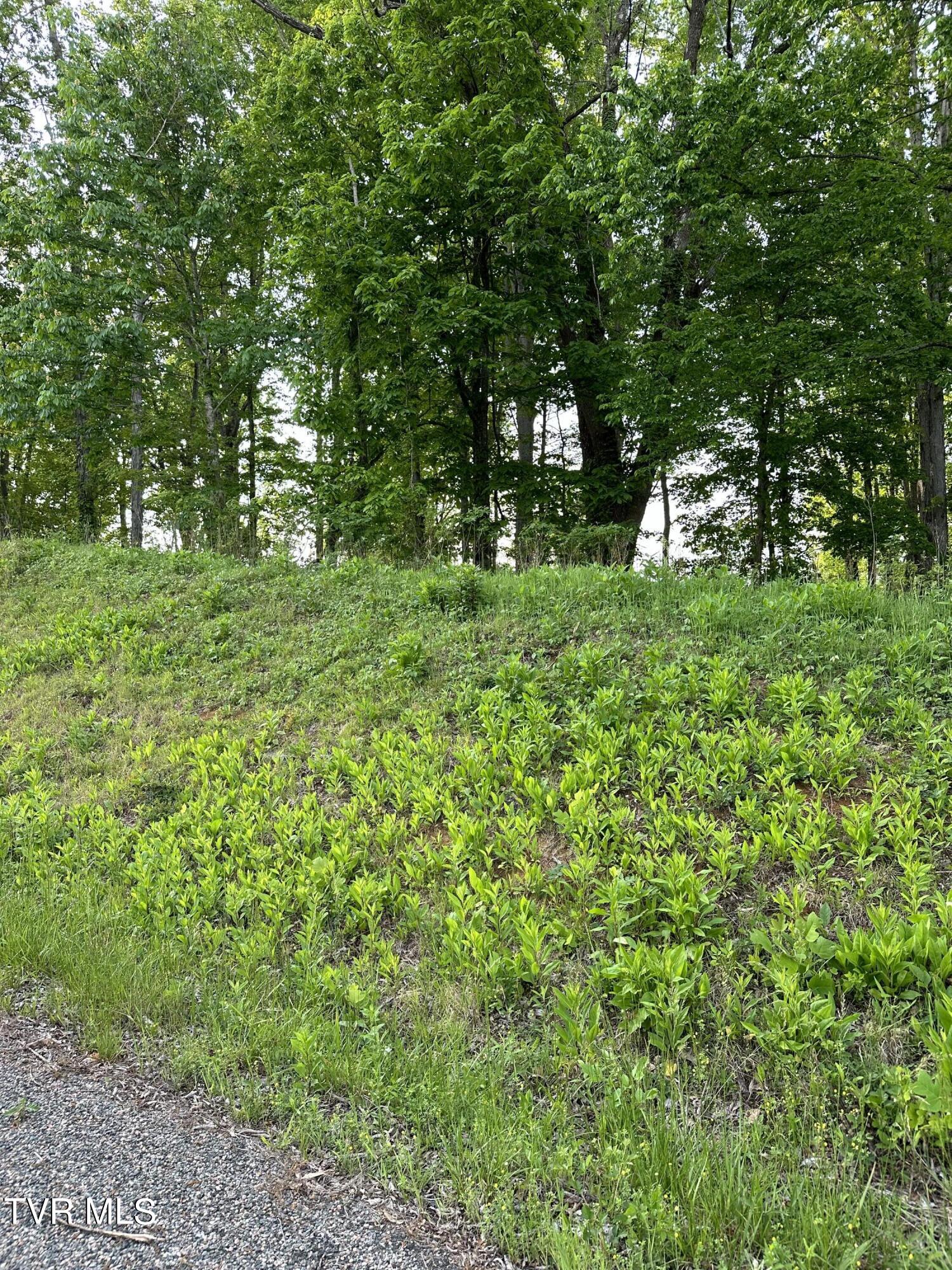 0 Lot Road, Unit 43 Butler, TN 37640 - Photo 5 of 69 IMG_1268