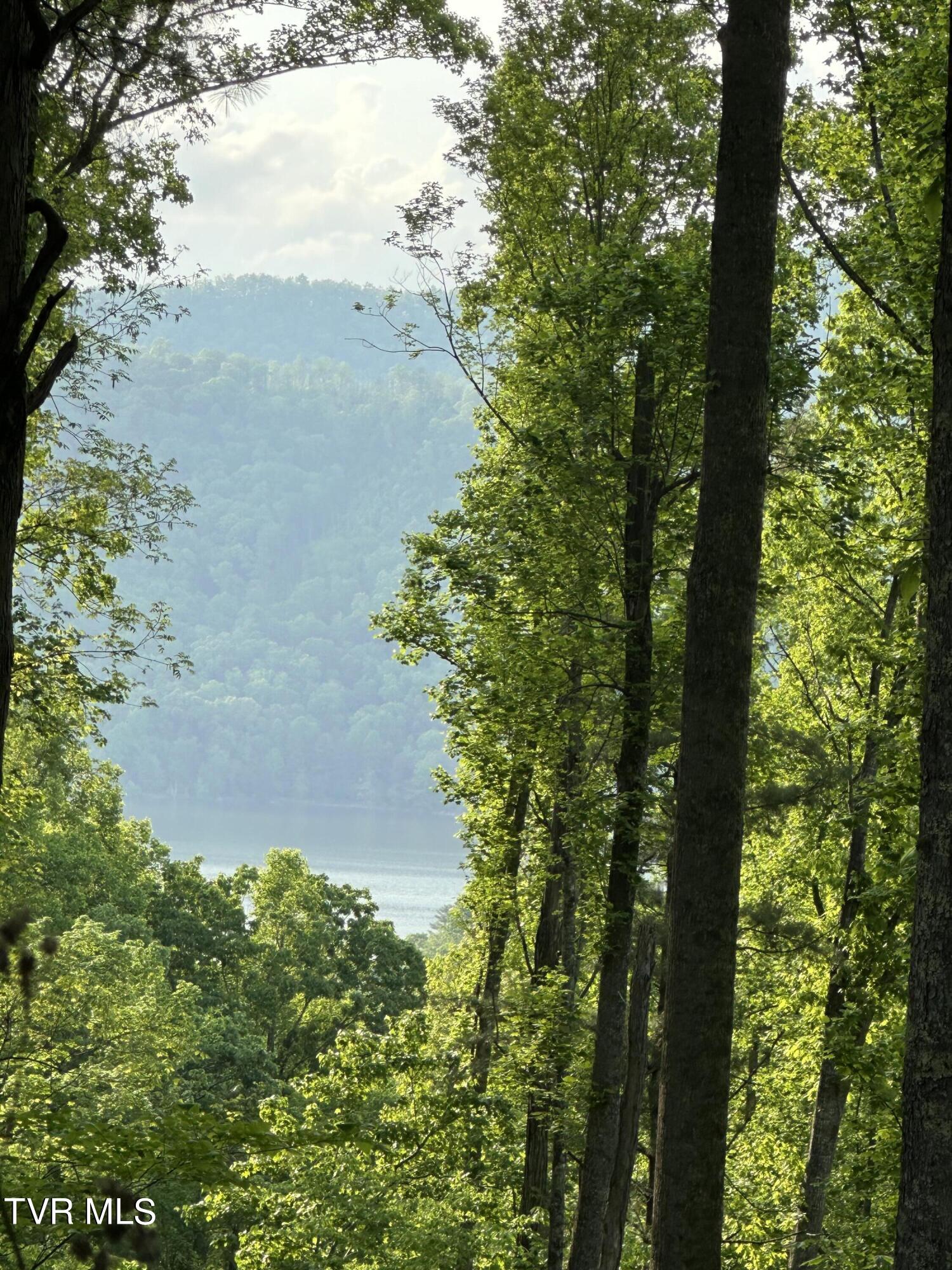 0 Lot Road, Unit 43 Butler, TN 37640 - Photo 6 of 69 IMG_1273