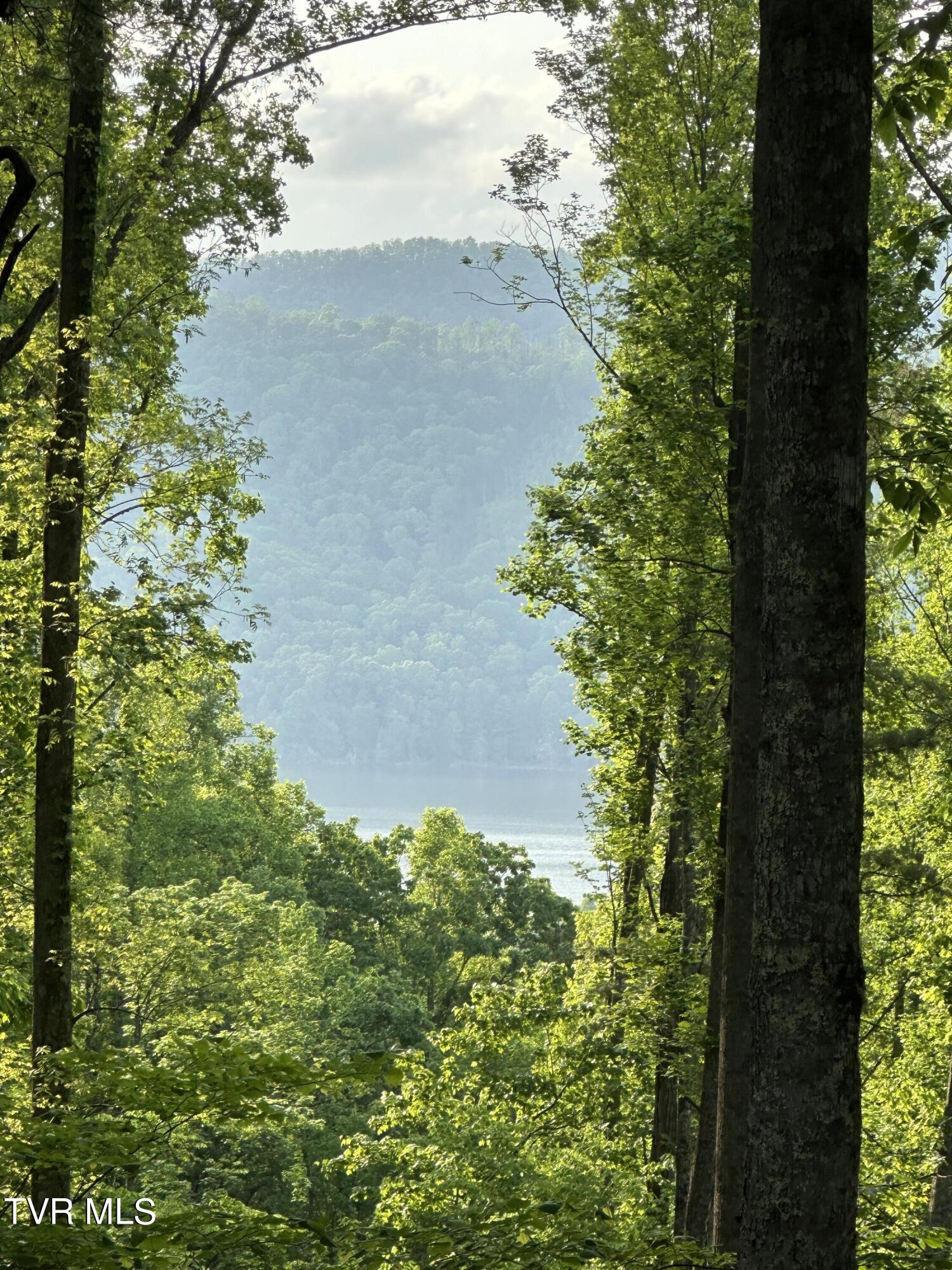 0 Lot Road, Unit 43 Butler, TN 37640 - Photo 7 of 69 IMG_1274