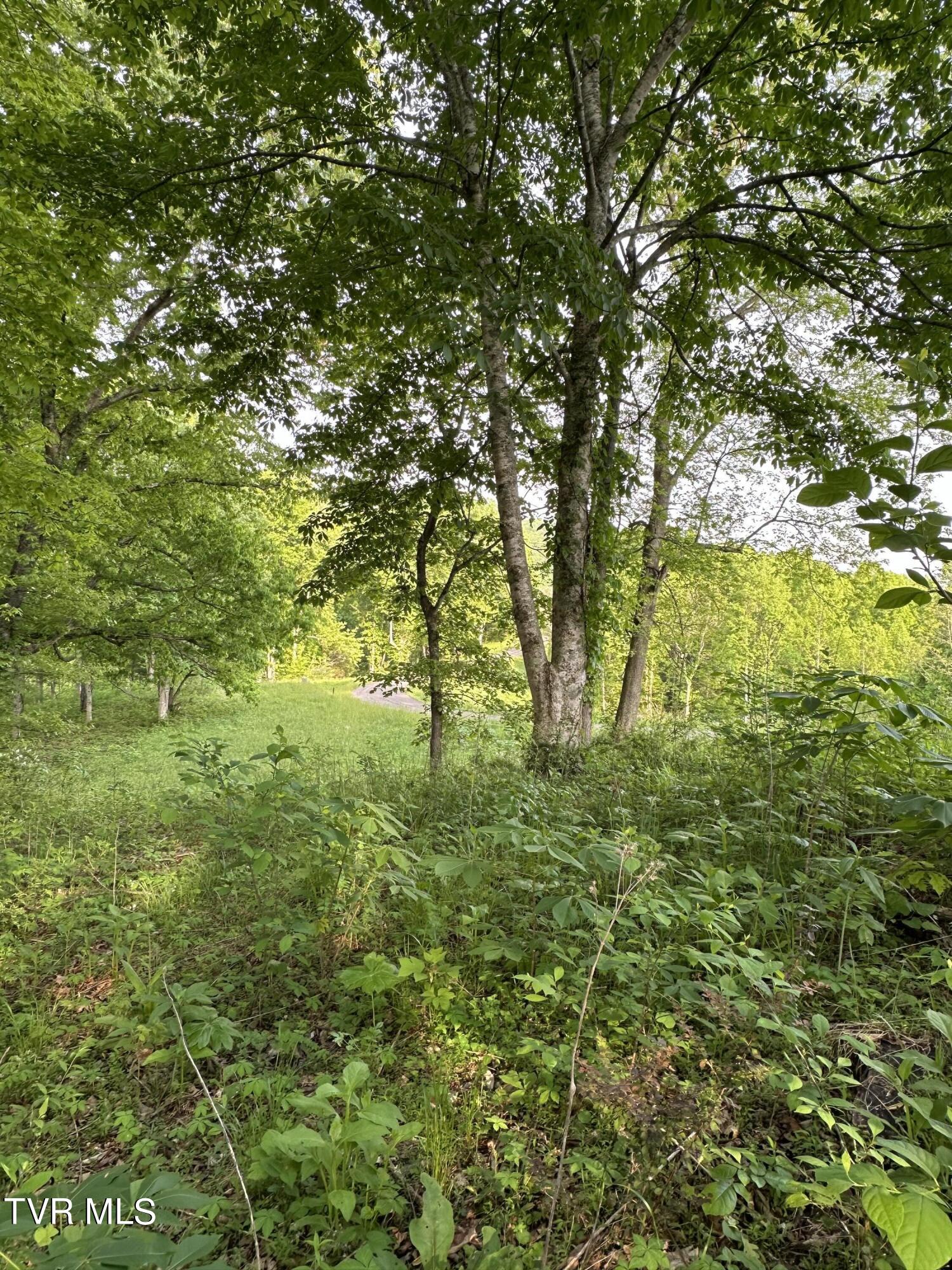 0 Lot Road, Unit 43 Butler, TN 37640 - Photo 10 of 69 IMG_1276