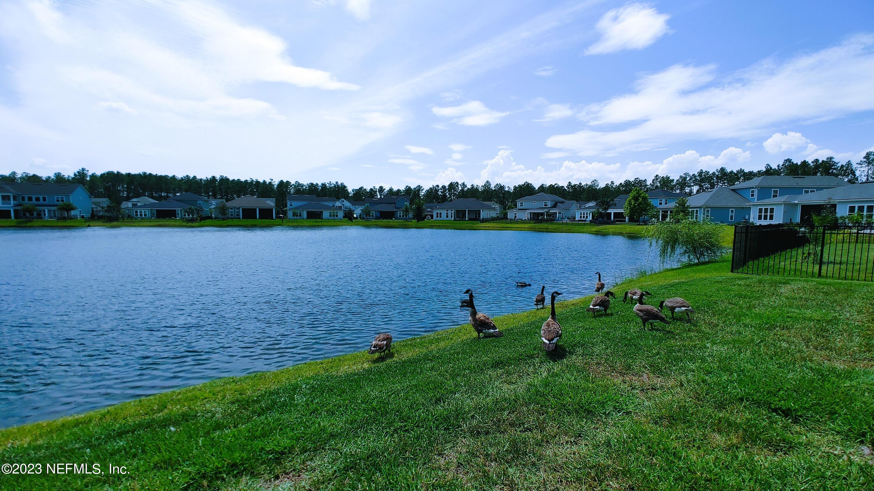 133 Pavati Point St. Johns, FL 32259 - Photo 44 of 46 a view of a lake with houses in the background