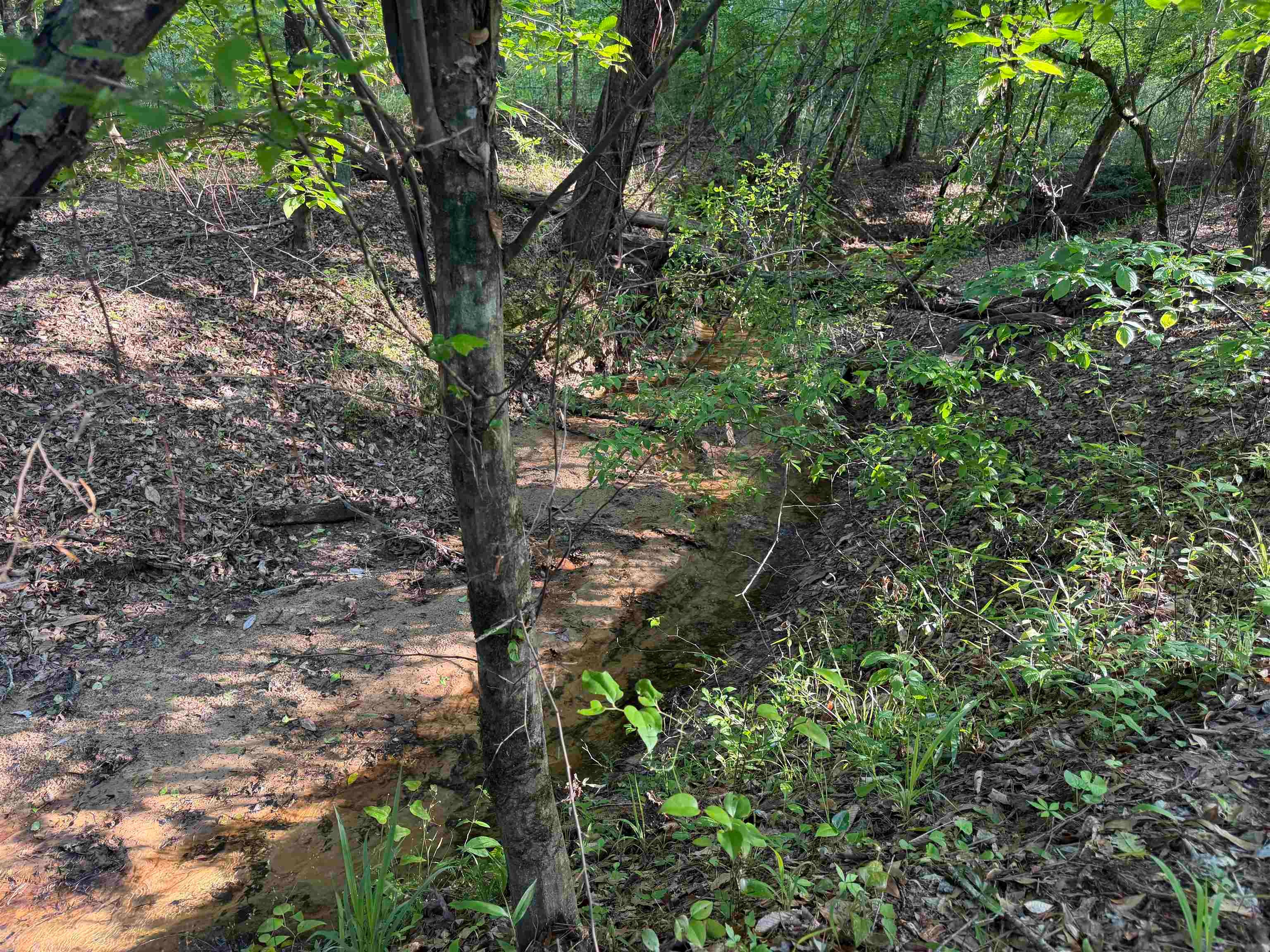 0 Leon Tower Road Brantley, AL 36009 - Photo 21 of 27 Gallery Image 21