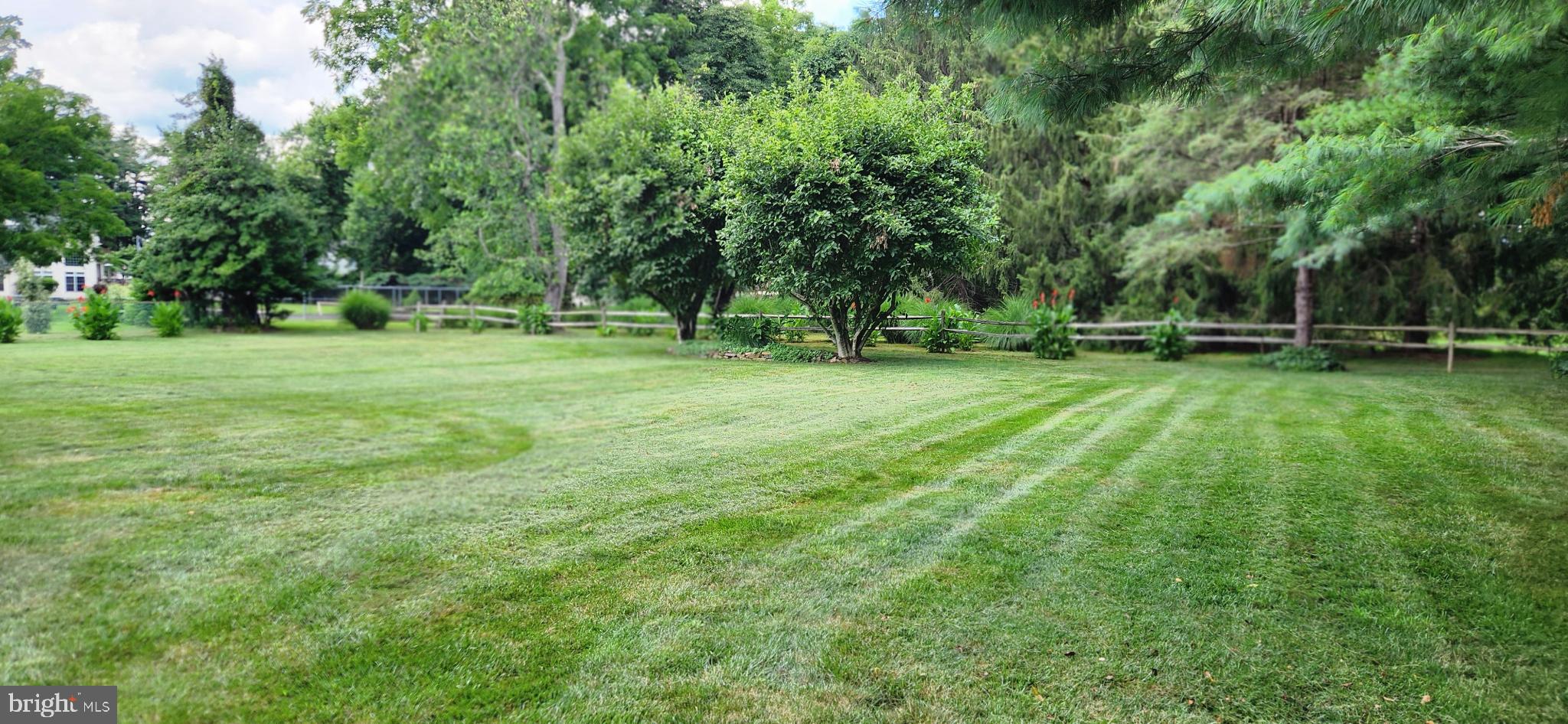 249 Twining Ford Road Richboro, PA 18954 - Photo 10 of 69 Level Backyard Bordered By Trees