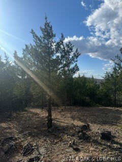 Little Indian Road Roach, MO 65787 - Photo 11 of 15