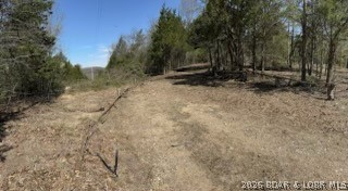 Little Indian Road Roach, MO 65787 - Photo 12 of 15