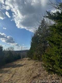 Little Indian Road Roach, MO 65787 - Photo 3 of 15