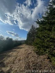 Little Indian Road Roach, MO 65787 - Photo 4 of 15