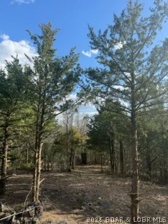 Little Indian Road Roach, MO 65787 - Photo 6 of 15