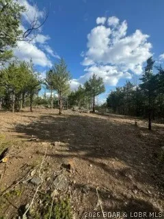 $25,000 | Little Indian Road, Roach, MO 65787