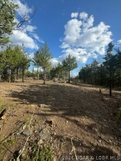 Little Indian Road Roach, MO 65787 - Photo 7 of 15