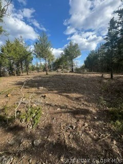 Little Indian Road Roach, MO 65787 - Photo 8 of 15